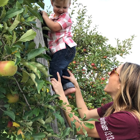 Well dressed wolf (Omi Jo) 18 mo. Boy collared cotton shirt - Picture 3 of 6